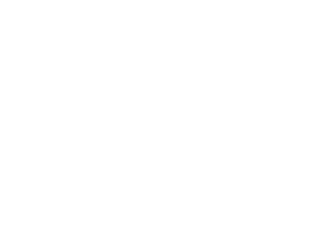 W A S D